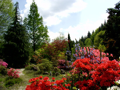 JARDIN BOTANIQUE DE GONDREMER