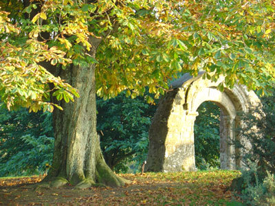 JARDIN DES PLANTES