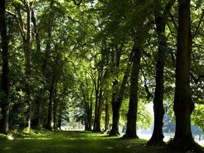 Parc du Château de la Groirie