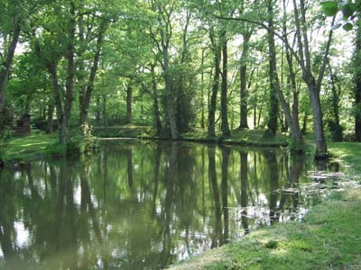 PARC DES SOURCES D'ELLE