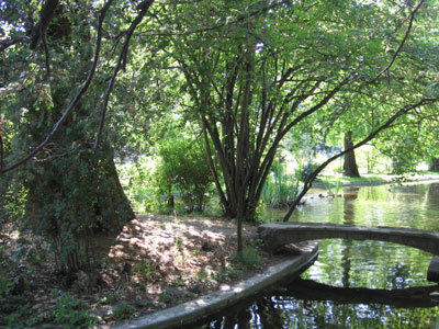 JARDIN DES PLANTES