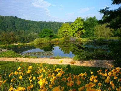 Les Jardins d'eau