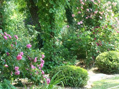 Les Jardins de la Louvière