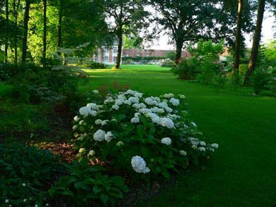 PARC DU MANOIR DE LA JAVELIERE