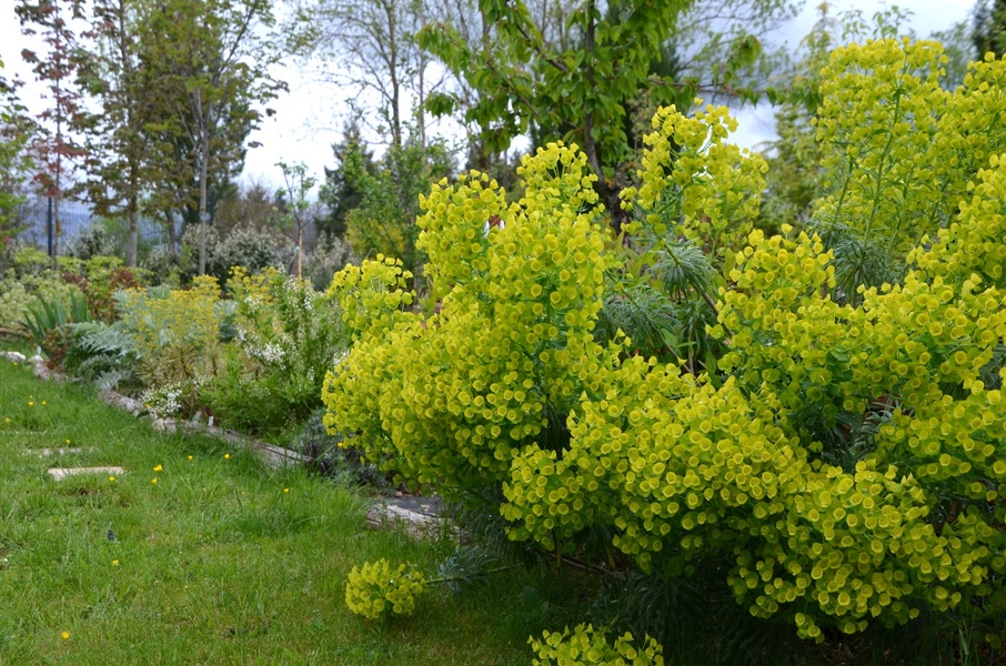 JARDIN DU GRAND CHARME