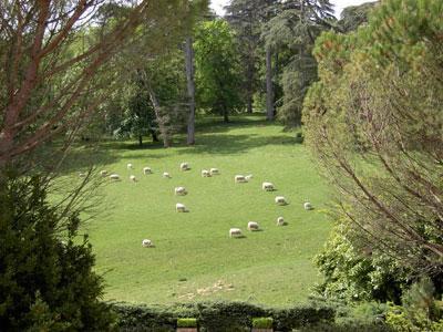 Château Pierrail