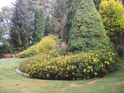 PARC DE L'ETANG