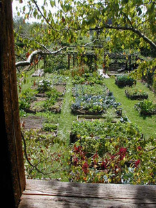 JARDIN DE L'ESCALIER