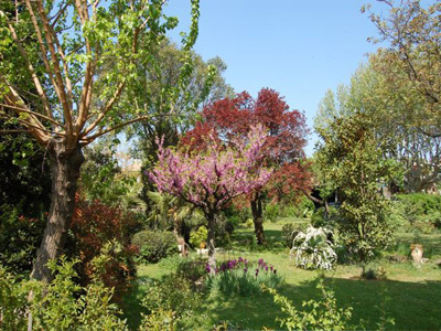 JARDIN DU MAS FERRAND