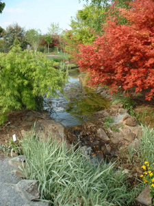 ARBORETUM JEAN-HUCHET