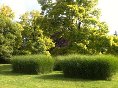 PARC DE L'AUNEAU