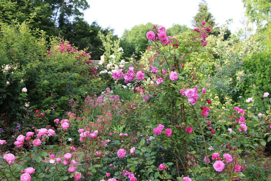 Reflets de Jardin