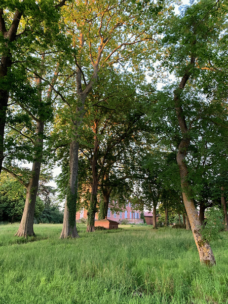 Parc et jardins du château de Fonbeauzard