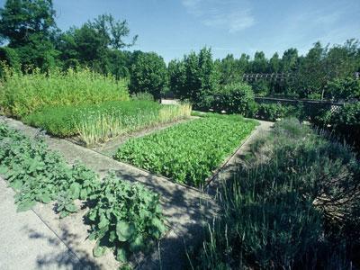 Jardin Renaissance du Château de Chamerolles