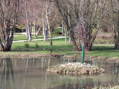 LES JARDINS DE L'ARGENTOR