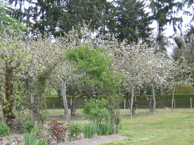 PARC DU CHÂTEAU DE LA COSSE