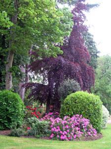 Parc du Château de Ménonval