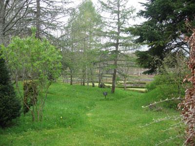 JARDIN POTAGER DU CHÂTEAU DAUPHIN