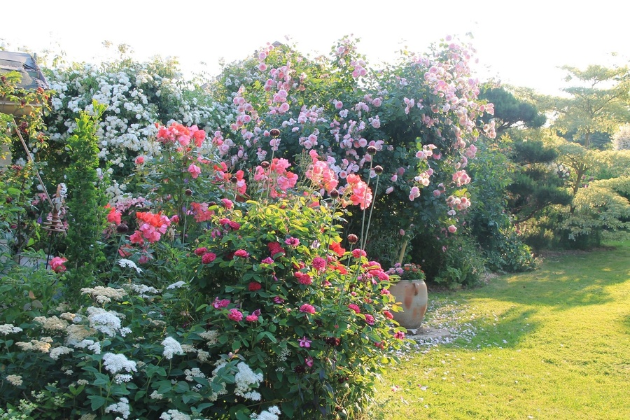 Le Jardin de Valérie