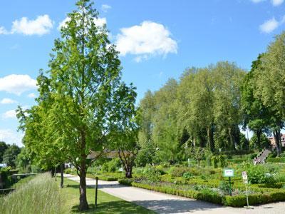 JARDIN DES PLANTES D'AMIENS