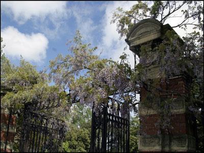 JARDIN PUBLIC DE CHERBOURG-OCTEVILLE