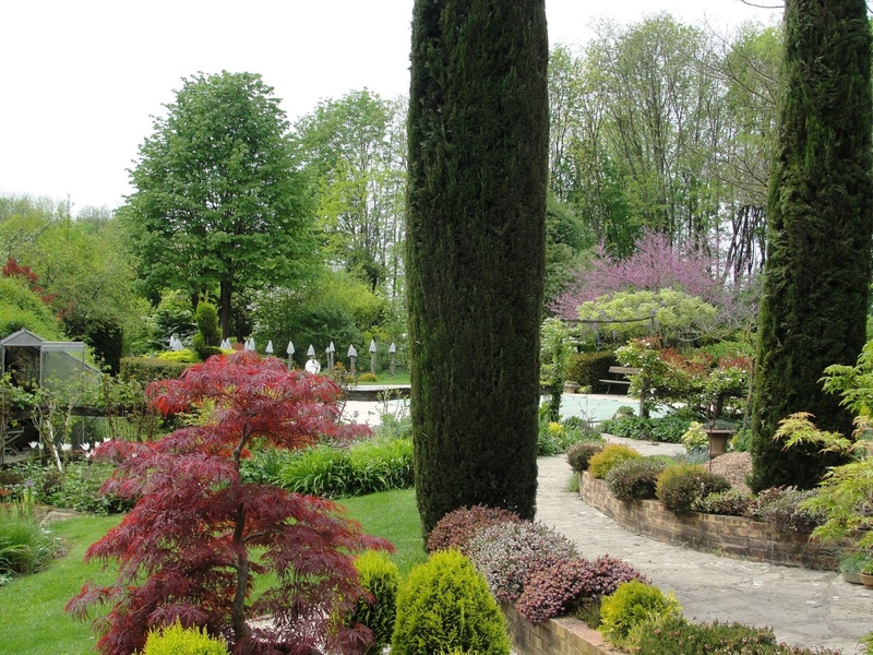 LE JARDIN DES VIEILLES VIGNES