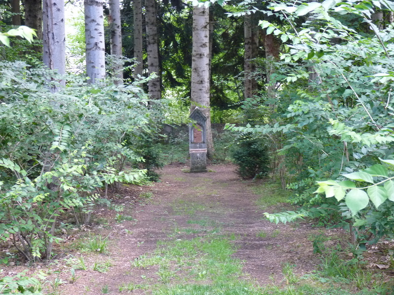 ARBORETUM DU CHATEAU DE NEUVIC D'USSEL