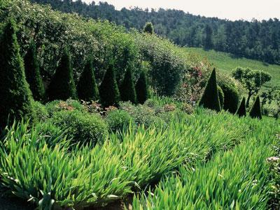 JARDINS DU CHÂTEAU VAL JOANIS