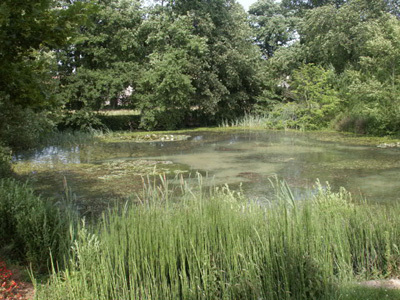 JARDIN BOTANIQUE UNIVERSITAIRE DE POITIERS