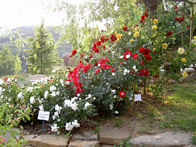 JARDIN DE L'ABBAYE DE VALSAINTES