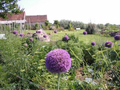 Le Jardin d'Elisée