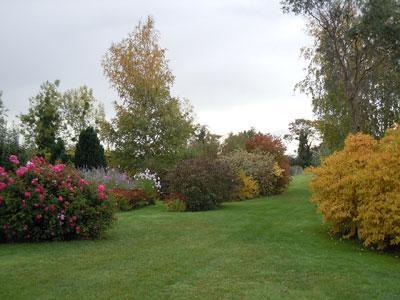 LE JARDIN DE MANOU