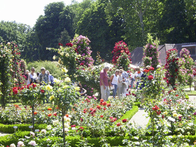 ROSERAIE DU VAL DE MARNE