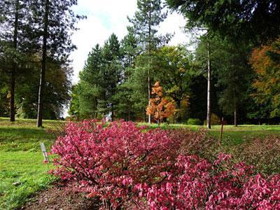 ARBORETUM DU CHATEAU DE NEUVIC D'USSEL