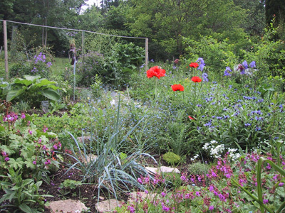 LE POTAGER D'UNE CURIEUSE