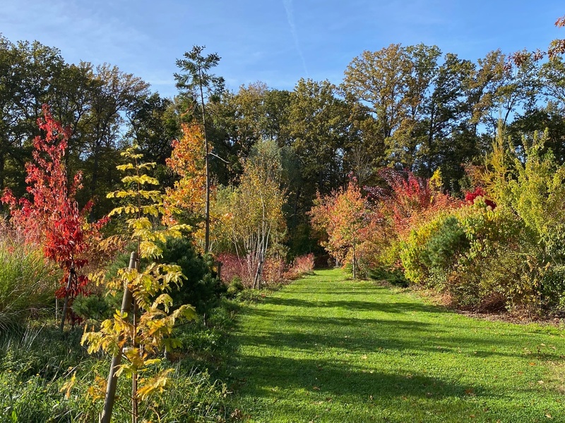 Jardin de Freville