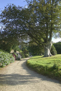 PARC DU CHÂTEAU DE LANNIRON