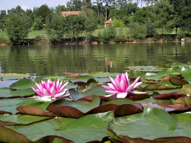 LE JARDIN DE RIVASSOUX