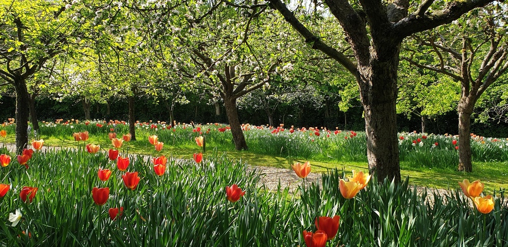 JARDIN DU MONT DES RECOLLETS