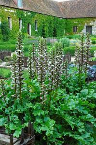 JARDIN MÉDIÉVAL DE BOIS RICHEUX