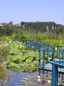 Les Jardins d'eau