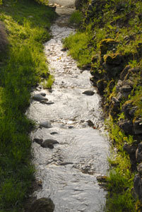 LA CAMPAGNE ST LAZARE