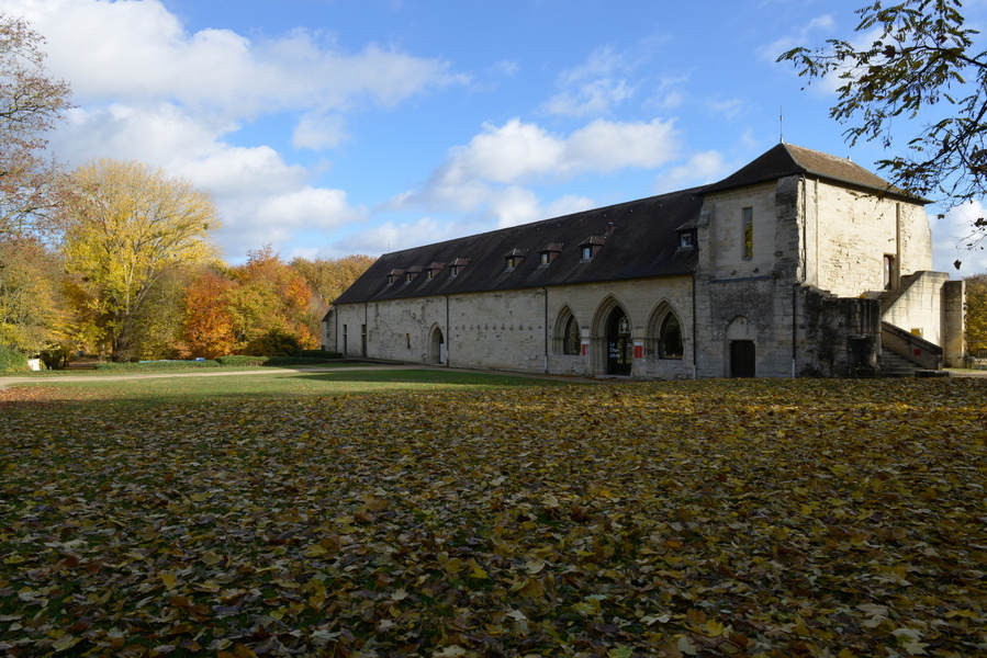 PARC DE L'ABBAYE DE MAUBUISSON