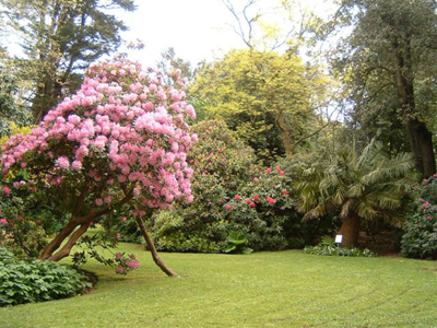 PARC EMMANUEL LIAIS