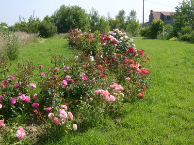 JARDIN BOTANIQUE DU VAL D'YSER