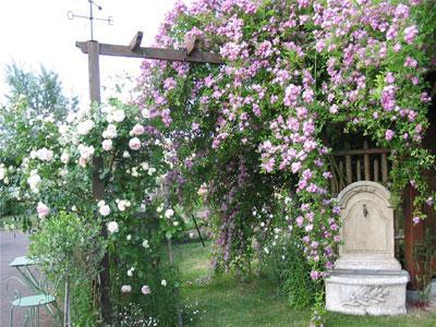 LE JARDIN DE GINETTE