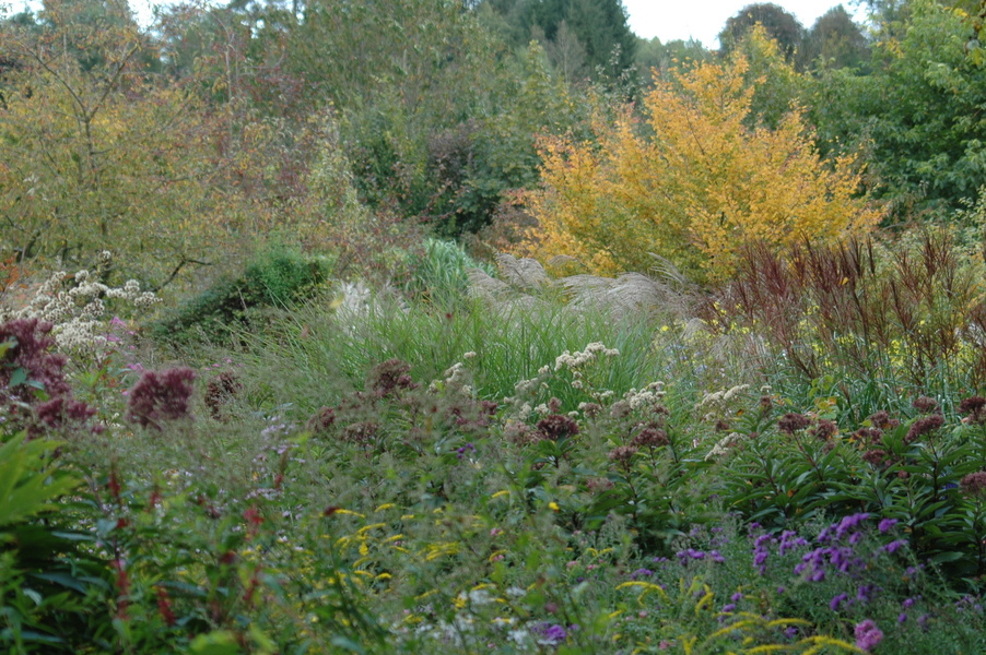 Pépinière Jardin Antoine Breuvart