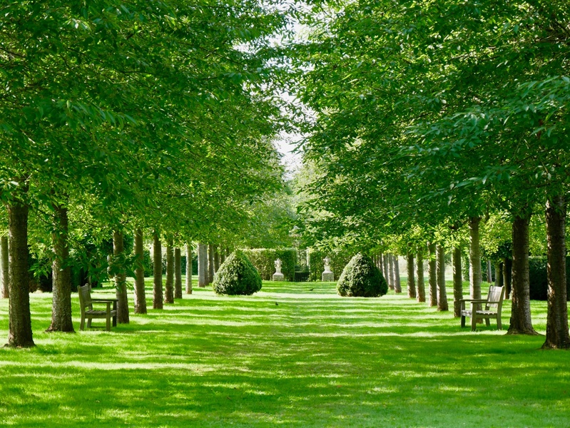 CHATEAU & JARDINS DE BOUTEMONT