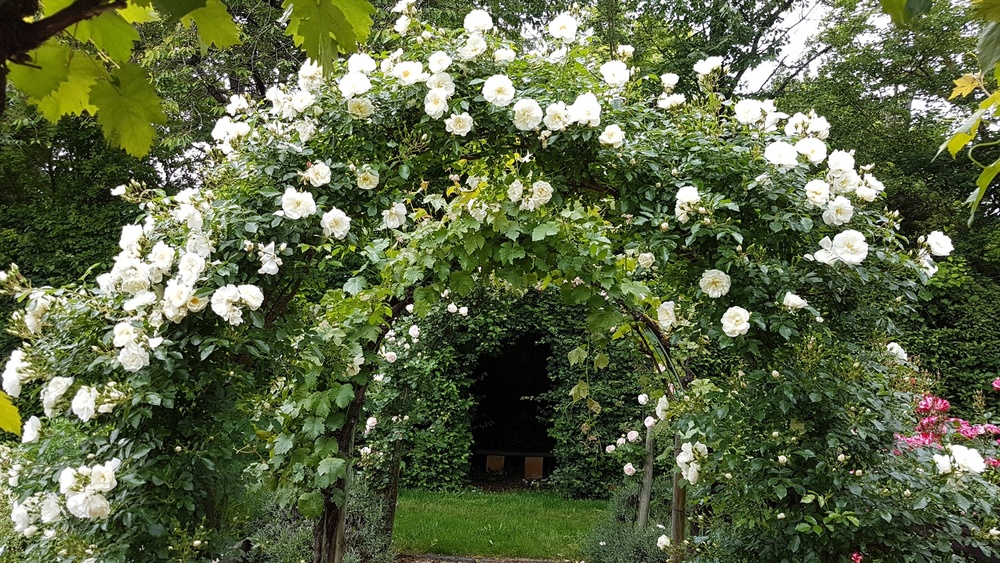 Jardins du château de Villeneuve