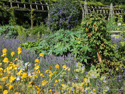 Jardin Renaissance du Château de Chamerolles